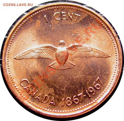 Q53 Канада 1¢ 1967 Голубь до 23.07 в 22°° - Q53 1c 1967_1