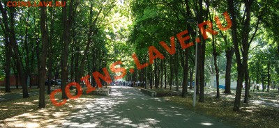 Владимирас. О не получении лота - роща