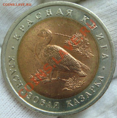 Красная Книга 1992 комплект до 24.07.12 в 22.00 по Москве - казарка.JPG