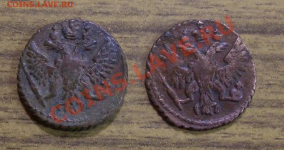 полушка 1749,1750, до 23.07.12  21:30 - CIMG7868.JPG