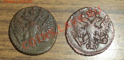 полушка 1749,1750, до 23.07.12  21:30 - CIMG7865.JPG