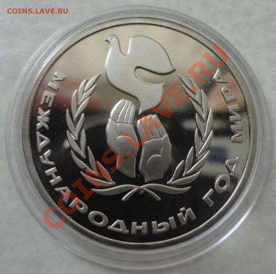Староделы - DSC02428