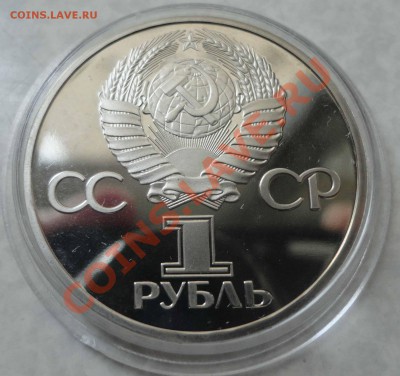 Староделы - DSC02440