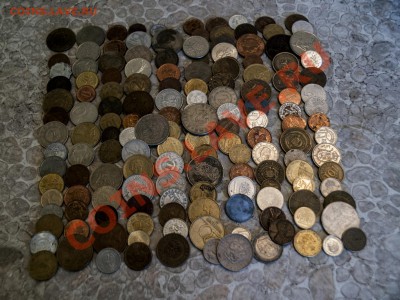 Солянка инострани для МСК - lot0367726
