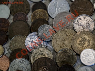 Солянка инострани для МСК - lot0567738