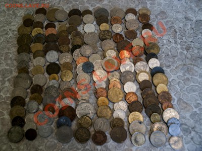 Солянка инострани для МСК - lot0667740