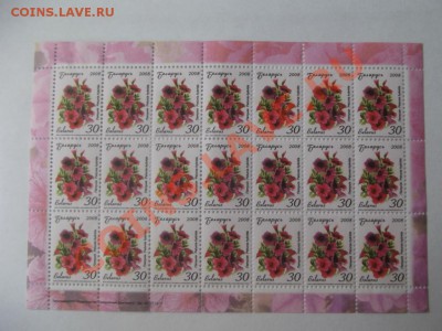 Лист почтовых марок Белоруссии с рубля до 22.07.12г.до 22-00 - DSCF0980