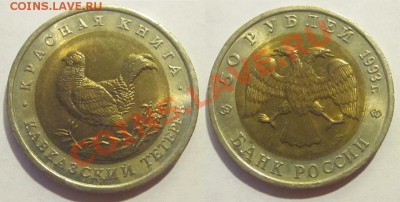 Красная Книга 1993 UNC                  25.07.2012 22-00 Мск - Кавказский тетерев