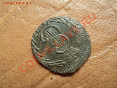 полушка 1771 сибирь, красивая до 24.07.12 22:00 по мск. вр. - DSC03790.JPG