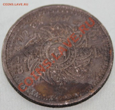 8 FUANG (1 Att) оценка. - IMG_1224.JPG