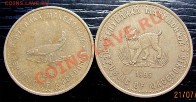 Q70 Македония ФАО 2, 5 денаров 1995 до 27.07 в 22°° - Q70 FAO 2, 5 denar 1995_2
