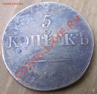 5 копеек 1831 СМ до 29.07   23:00 - IMG_3554.JPG