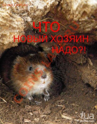 Вопросом на вопрос! - 700162_770618