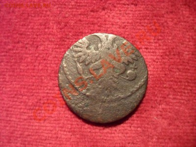 Полушки 1730-1754 годов. Галерея - 2424333621_1