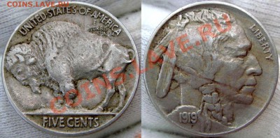 монеты США (вроде как небольшой каталог всех монет США) - 5 cents 1919.JPG