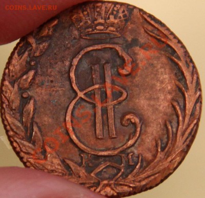 Денга 1770 КМ Соболя с шерстью - IMG_7113.JPG