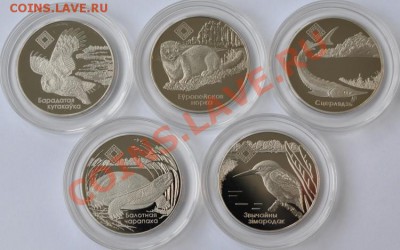 Монеты Беларуси (медно-никель и серебро). Дополняемая тема! - DSC_61351