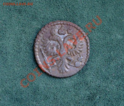 Полушка 1734 г. Редкая или нет? - DSC05881.JPG