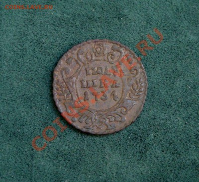 Полушка 1734 г. Редкая или нет? - DSC05876.JPG