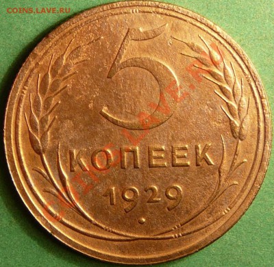 5 копеек 1929 года. до 7.08.12. в 22-00 по Мос. - P1080914.JPG