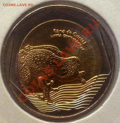 БИМ - Колумбия 500 песо 2012 Стеклянная лягушка 06.08 21.00 - 310720125545