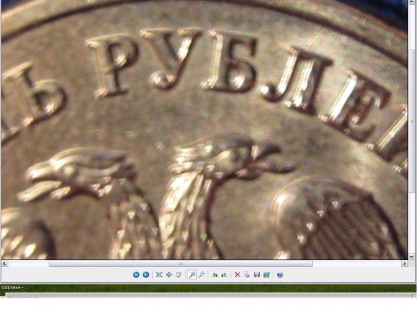РАЗНОВИДНОСТИ ХОДЯЧКИ РФ 2008 года - хвостик.JPG