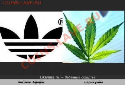 Ассоциация слов - 1265456733