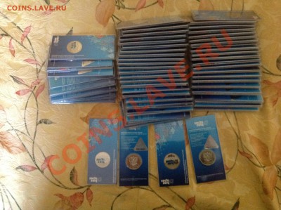 Сочи Цветные 2011г!!! - IMG_0289