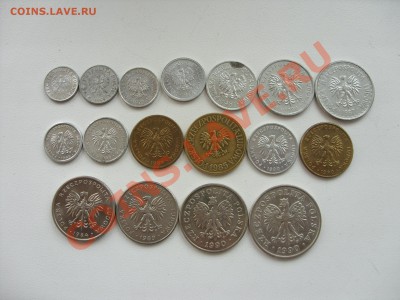 Ходячка Польши (ПНР) 17 монет. До 8.08.2012 в 23:59 по МСК - SDC11075.JPG