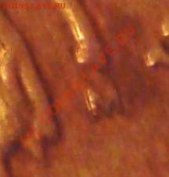 10 копеек 2002 М Помогите определить шт. - DSC02966.JPG