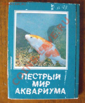 комплекты открыток и литература XX века,мож кому интересно - аквариум рыбки.JPG
