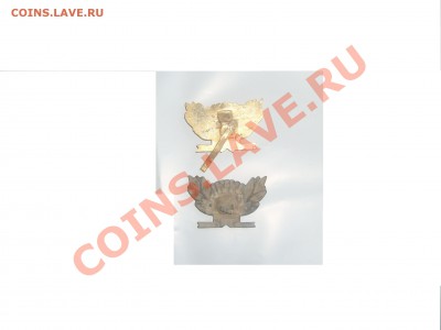 2 Школьные кокарды - S7303342.JPG