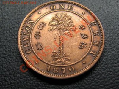 Цейлон 1 цент.1870 г.Виктория. - IMG_1556.JPG