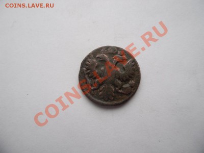 Полушка 1735год - SAM_2049.JPG