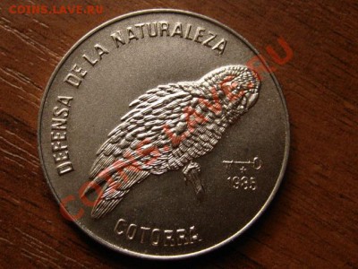 Куба 1 песо 1985 Попугай  до 15.08.12 в 21.00 М - IMG_2680