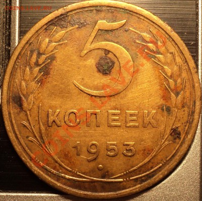 5 копеек 1952(2 шт) и 5 коп.1953.Помощь в определении! - DSC00240.JPG