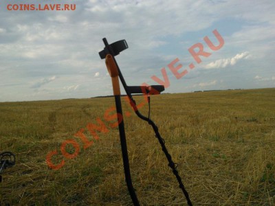 сегодняшний коп - WP_000005