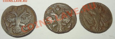9 полушек  1735-50г.г. - DSC00805.JPG