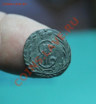 Сибирская полушка;1770г.км. 20.08.12г. 22:00ч, вр. Москов. - IMG_0362.JPG