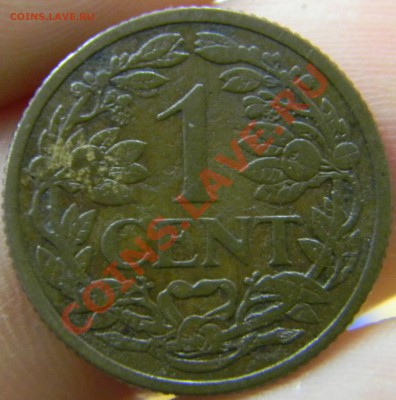 1 цент Нидерланды 1914г. - DSCN2013.JPG