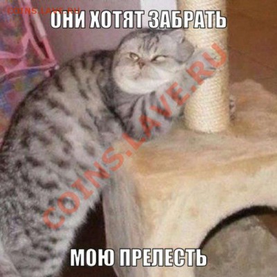 ФОТО - просто фото. Те что получились удачными. - прелесть
