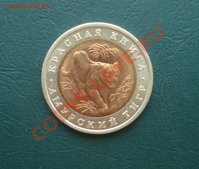 1992-10 рублей  КК  Амурский тигр до 20.08.12 в 22.00 по МСК - 2