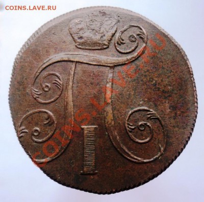 2 копейки Павла1 1798,99,1800гг хорошие,предпродажная - DSC04459.JPG