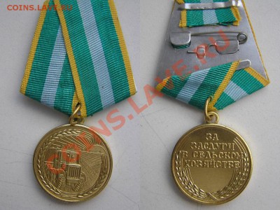 Медаль "За заслуги в сельском хозяйстве" с док. - P1010641.JPG