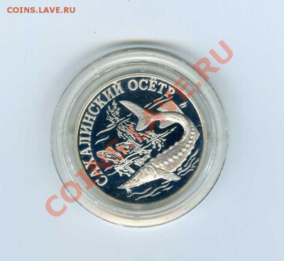 1руб. Сахалинский осетр 2001г. - img199
