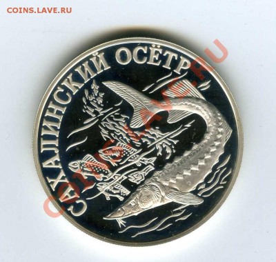 1руб. Сахалинский осетр 2001г. - img247