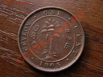 Цейлон 1 цент 1905 Эдуард7 до 22.08.12 в 21.00 М - IMG_2899
