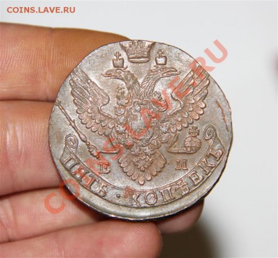 5 копеек 1790 ем Красивый (до четверга) - IMG_4479 (Medium).JPG