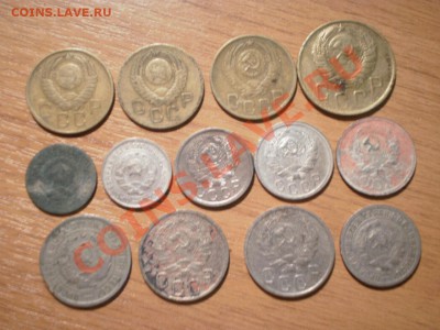 Ранние советы: 13 шт. до 22.08. в 22:00 - P8050903.JPG