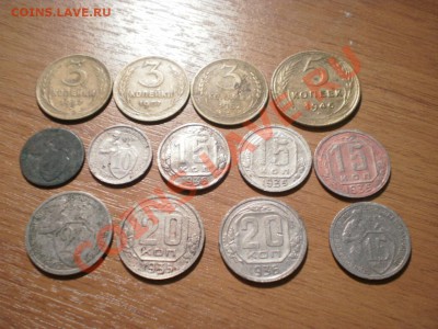 Ранние советы: 13 шт. до 22.08. в 22:00 - P8050901.JPG